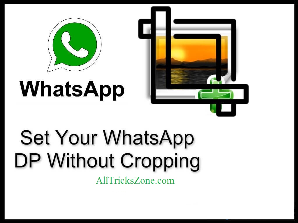 set whatsapp profile-picture-without-crop