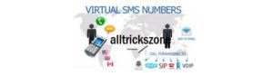 Virtual SMS Disposable